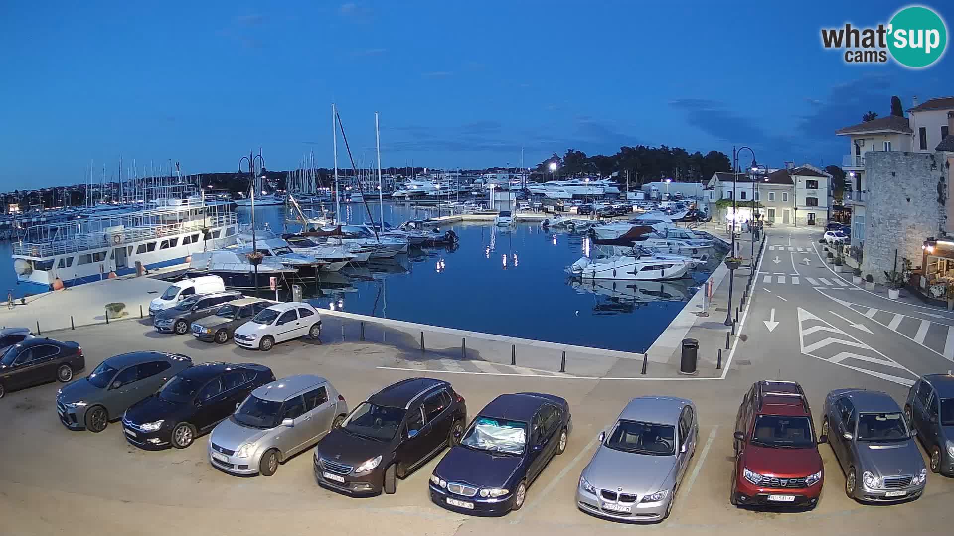 Novigrad | Porporela marina