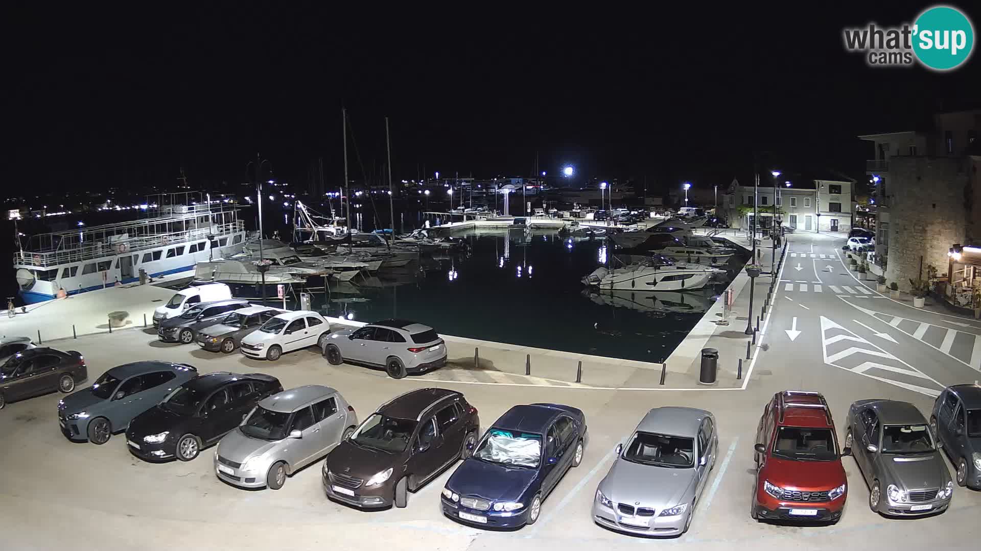 Novigrad | Porporela marina