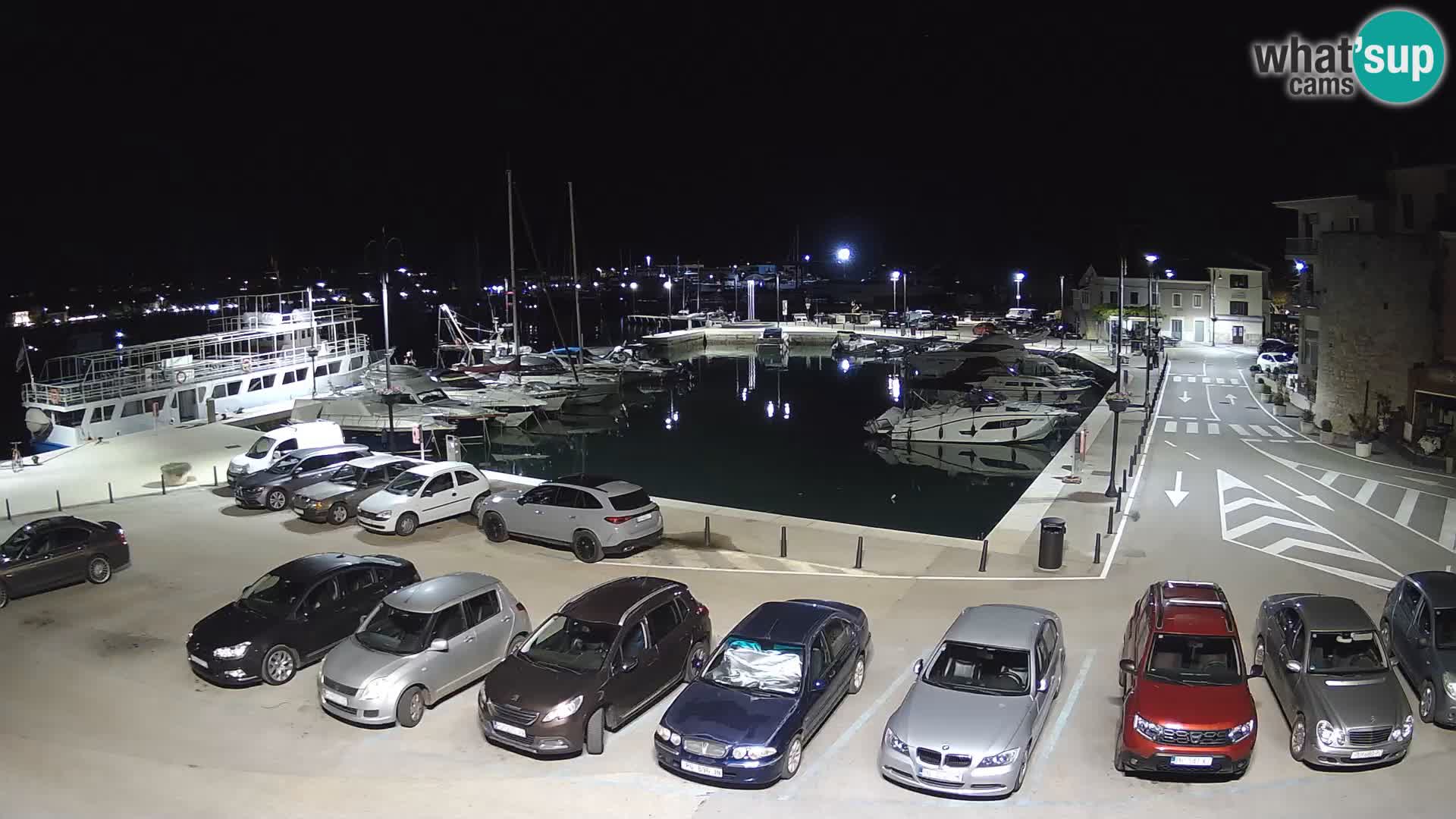 Novigrad | Porporela marina