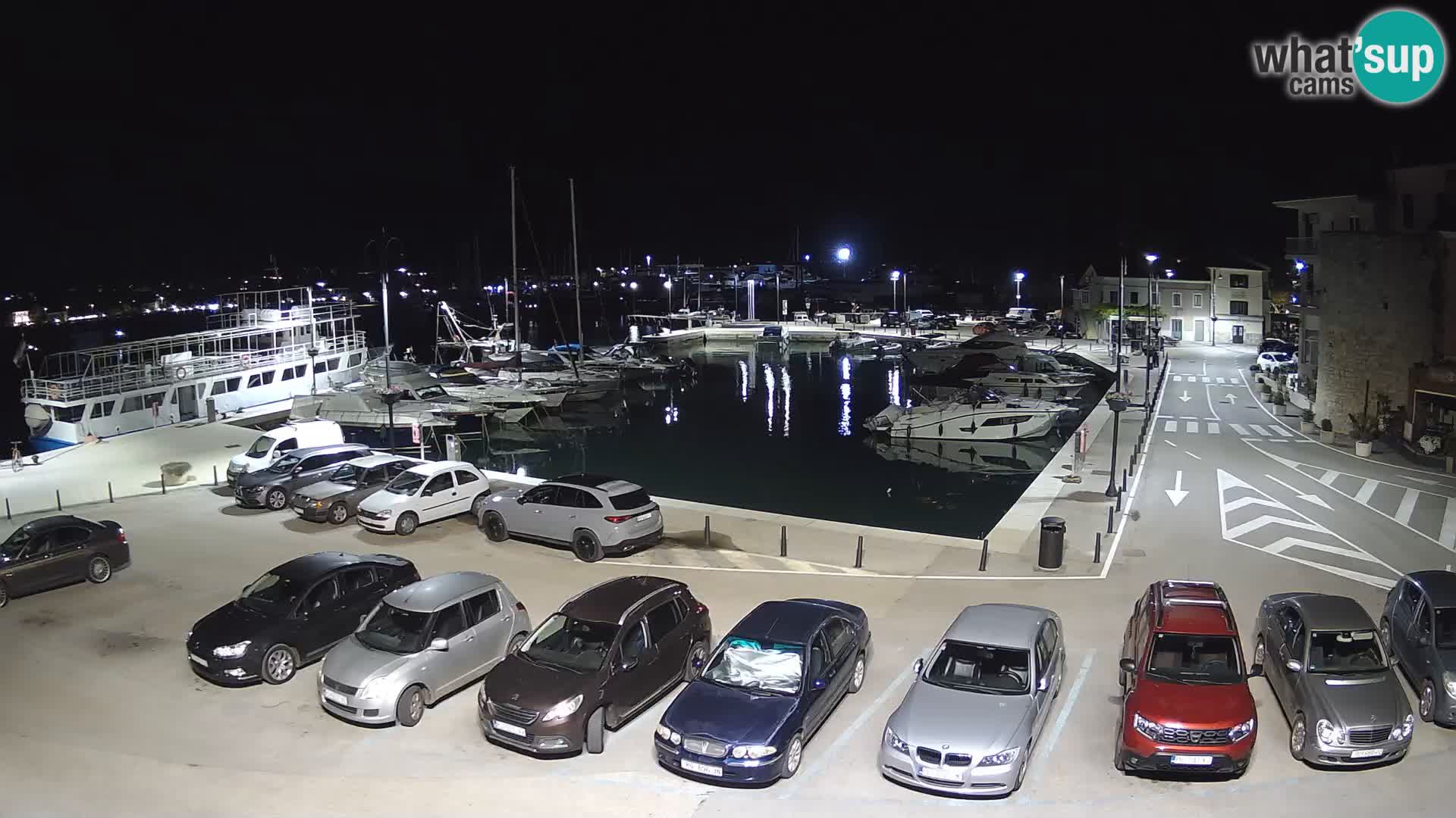 Novigrad | Porporela marina