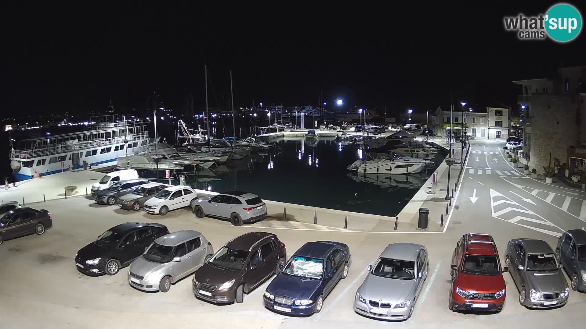 Novigrad | Porporela marina