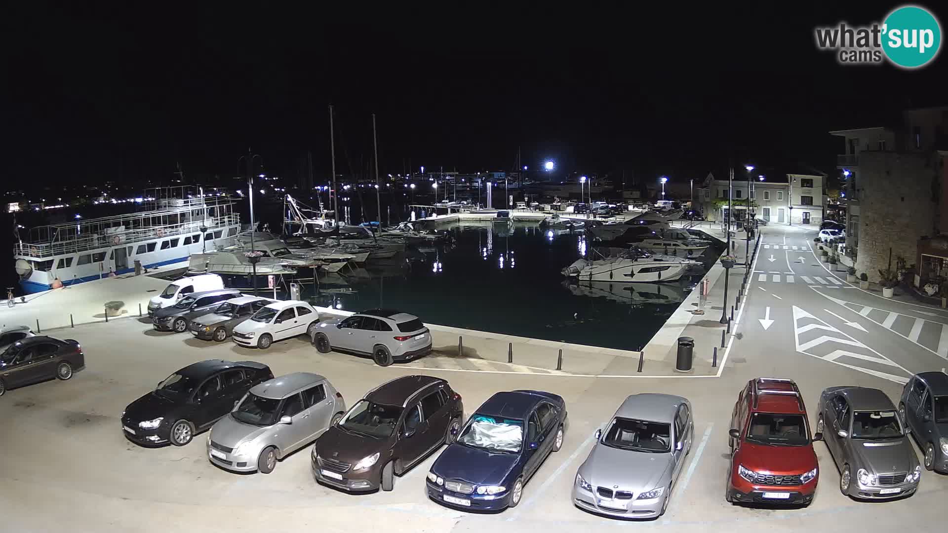 Novigrad | Porporela marina