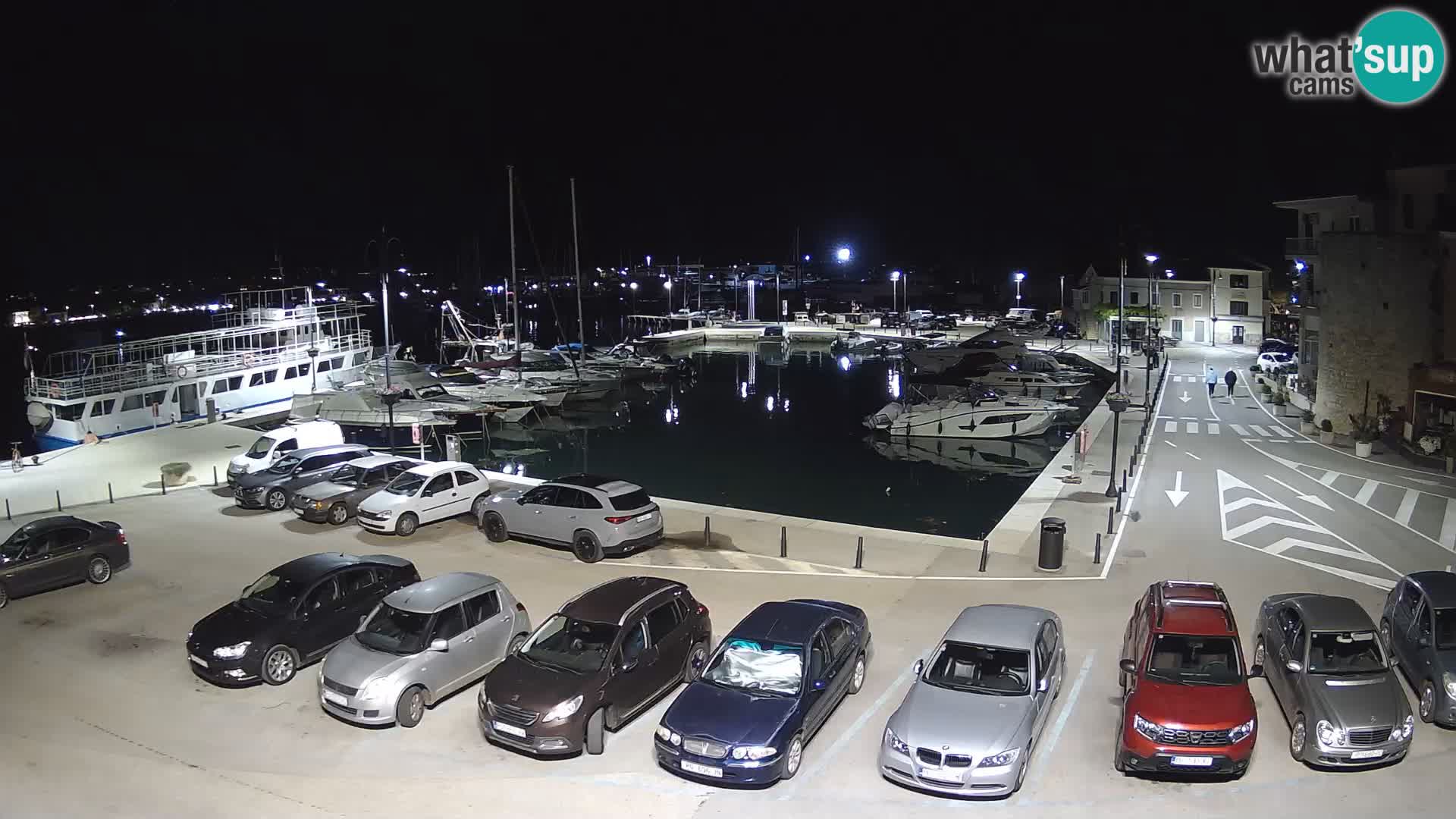 Novigrad | Porporela marina