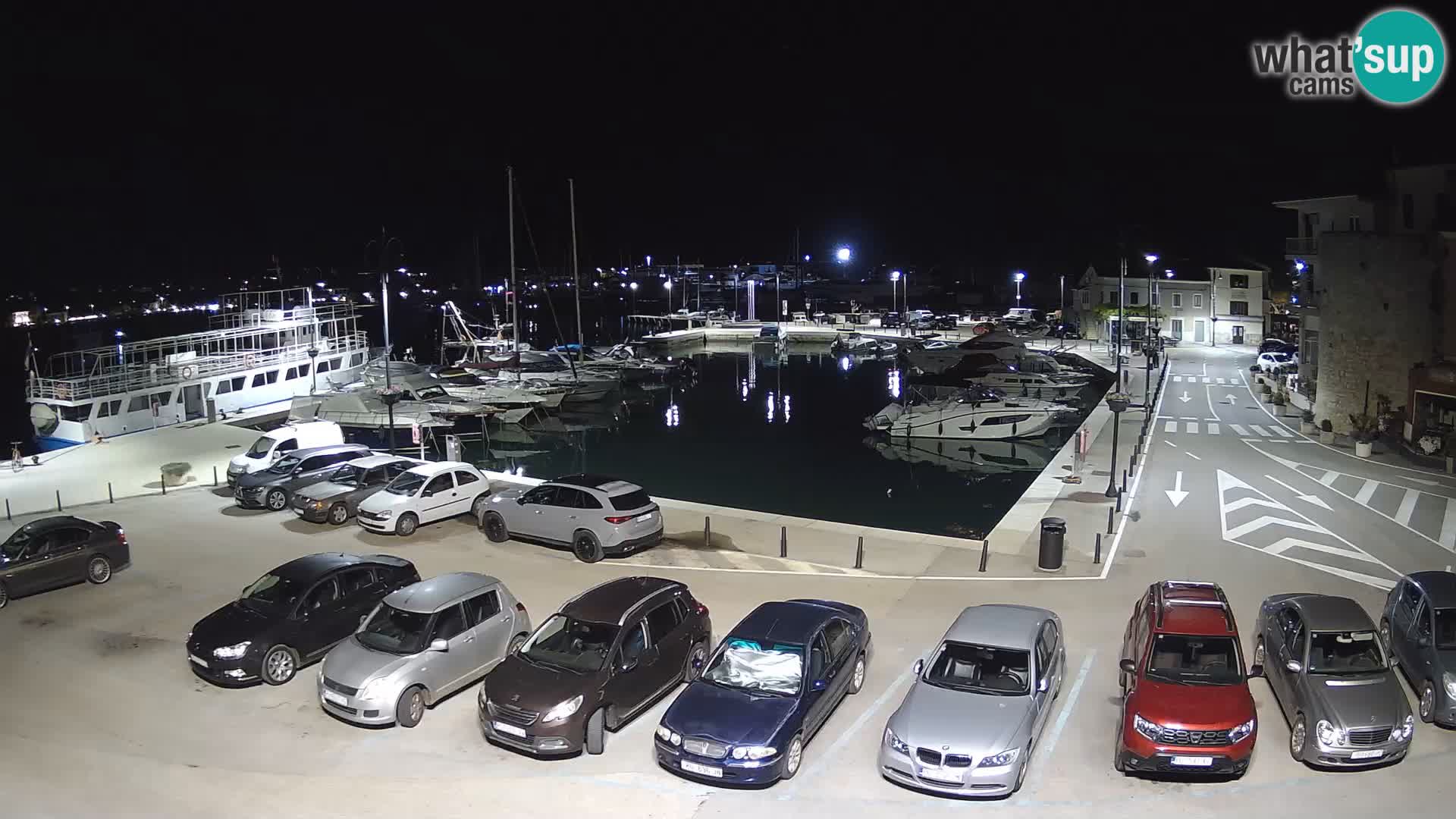 Novigrad | Porporela marina