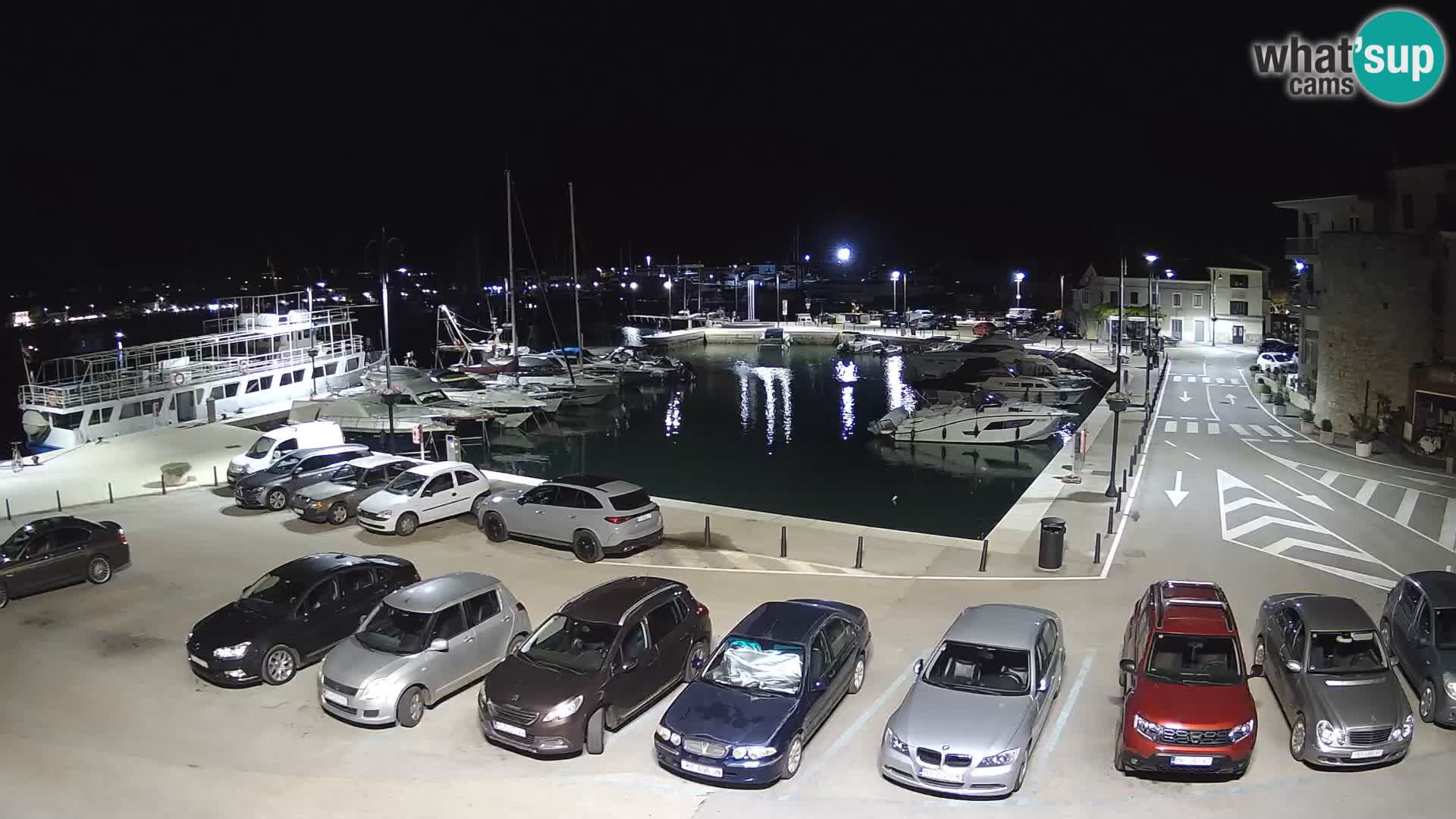 Novigrad | Porporela marina