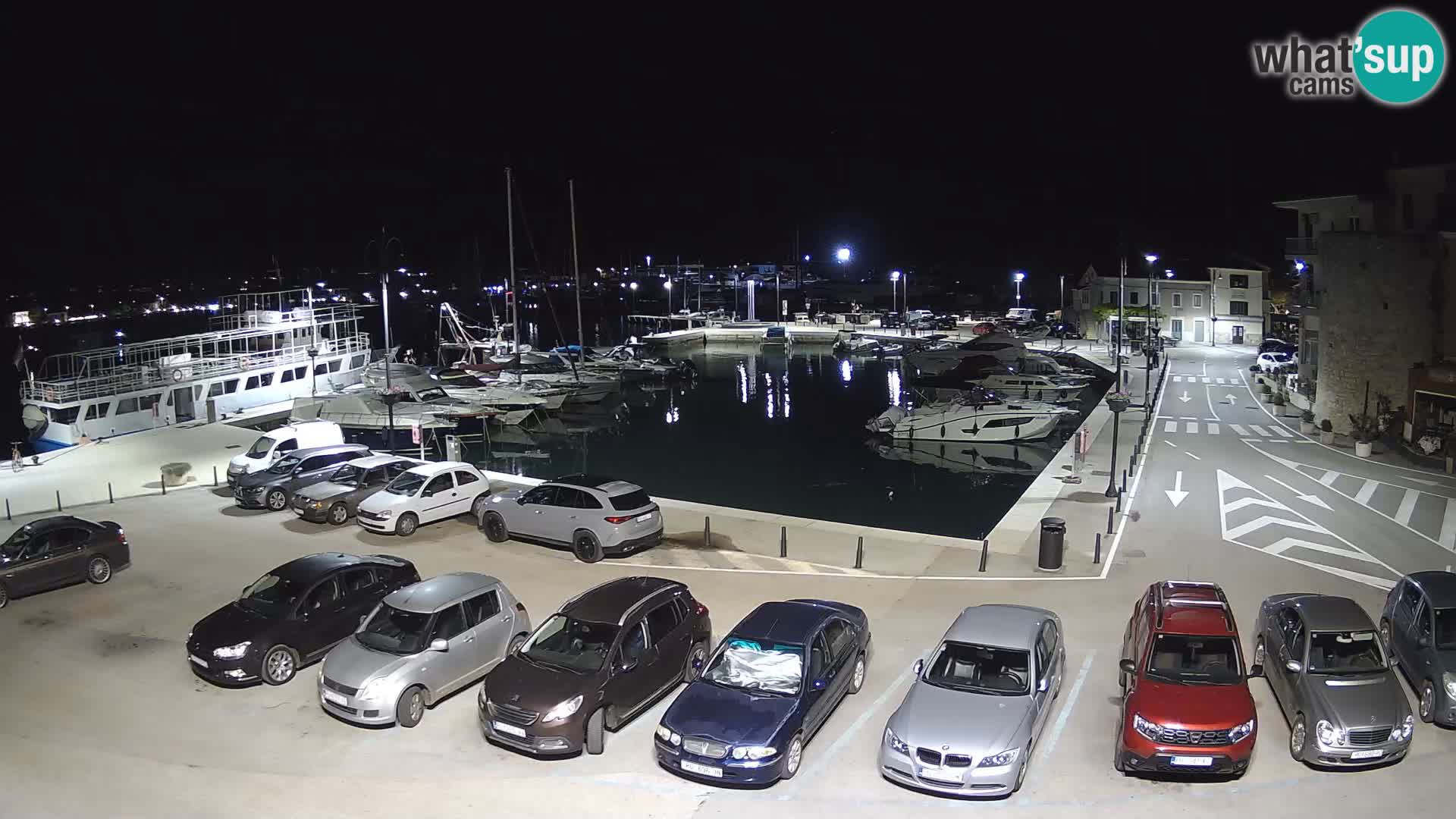 Novigrad | Porporela marina