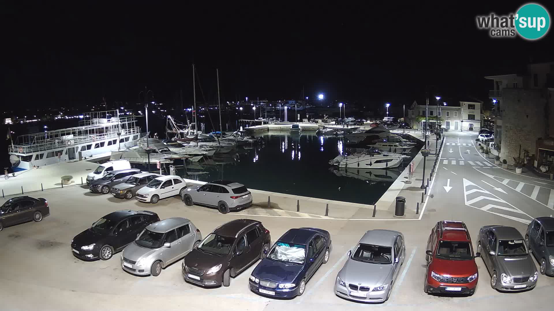 Novigrad | Porporela marina