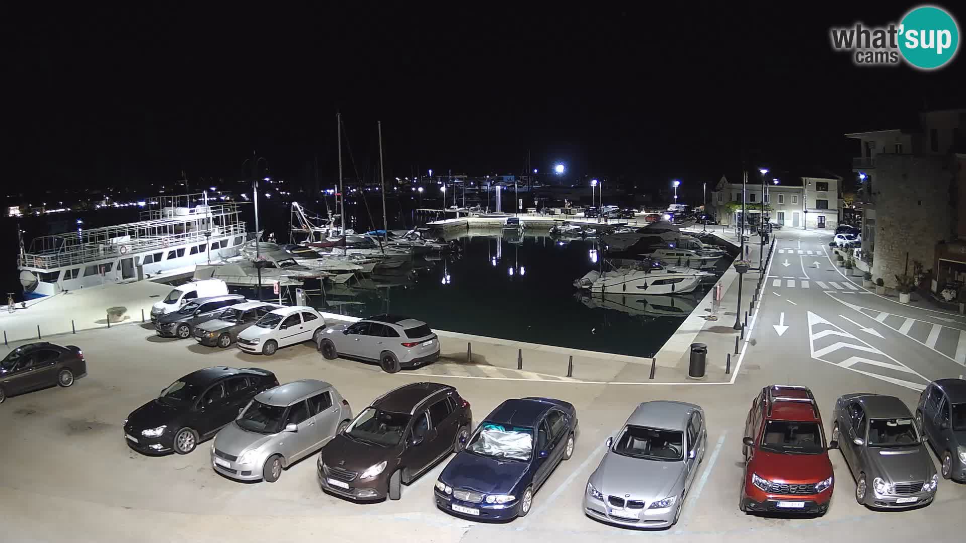 Novigrad | Porporela marina