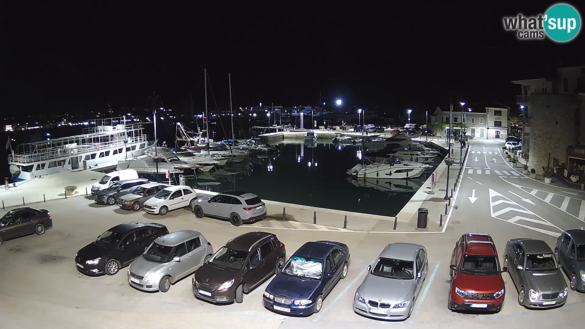 Novigrad | Porporela marina