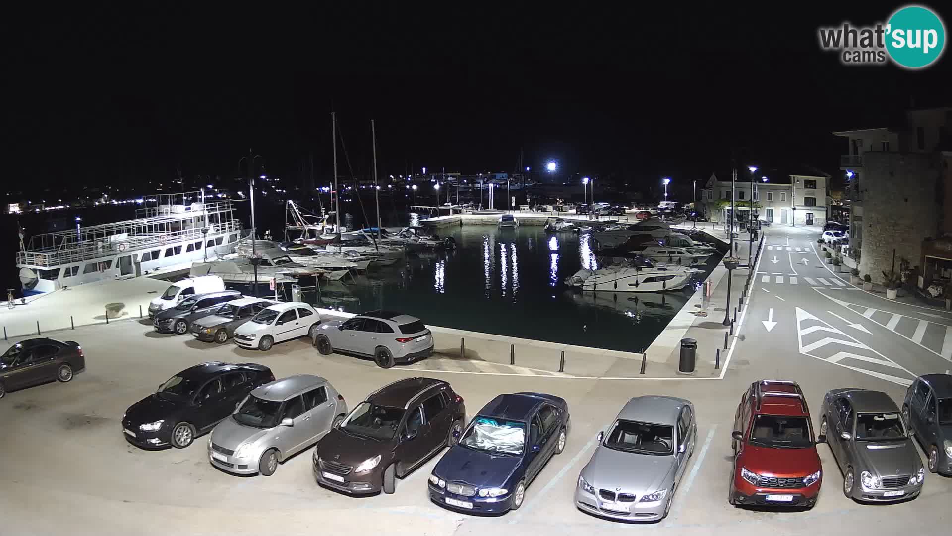 Novigrad | Porporela marina