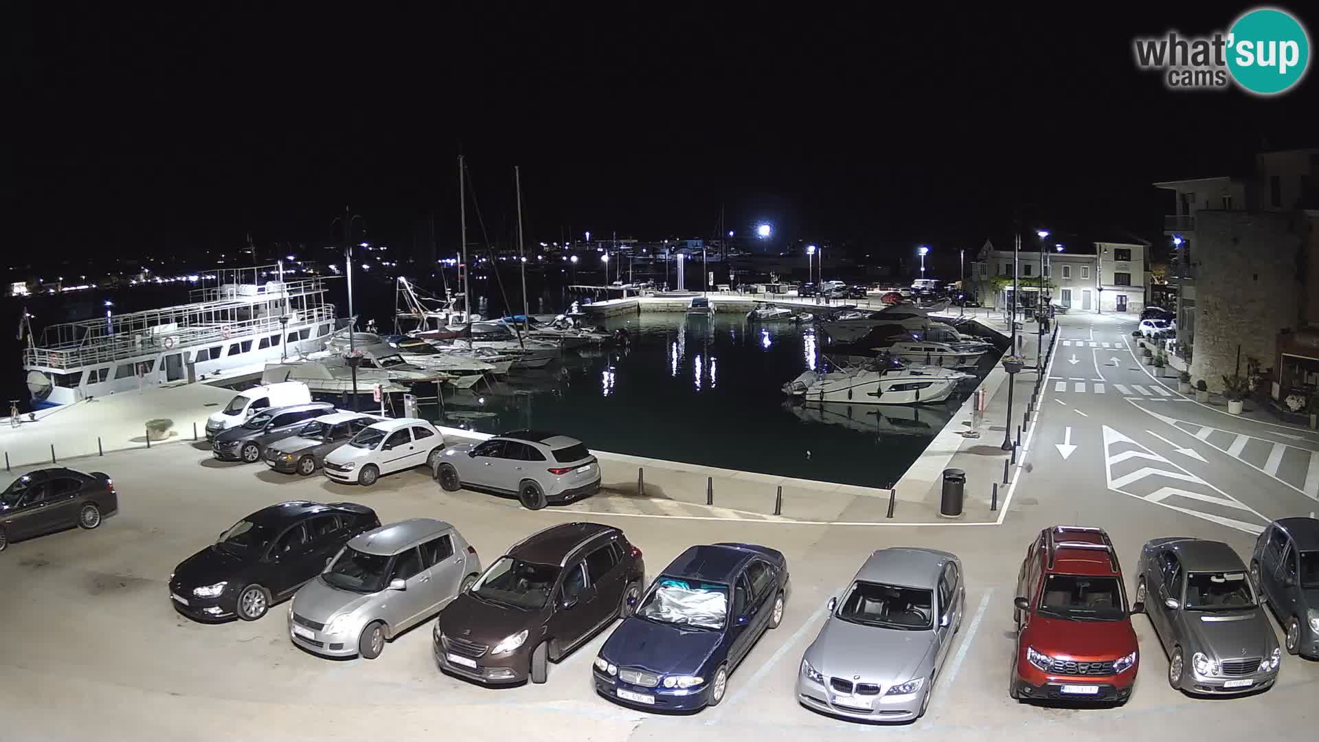 Novigrad | Porporela marina