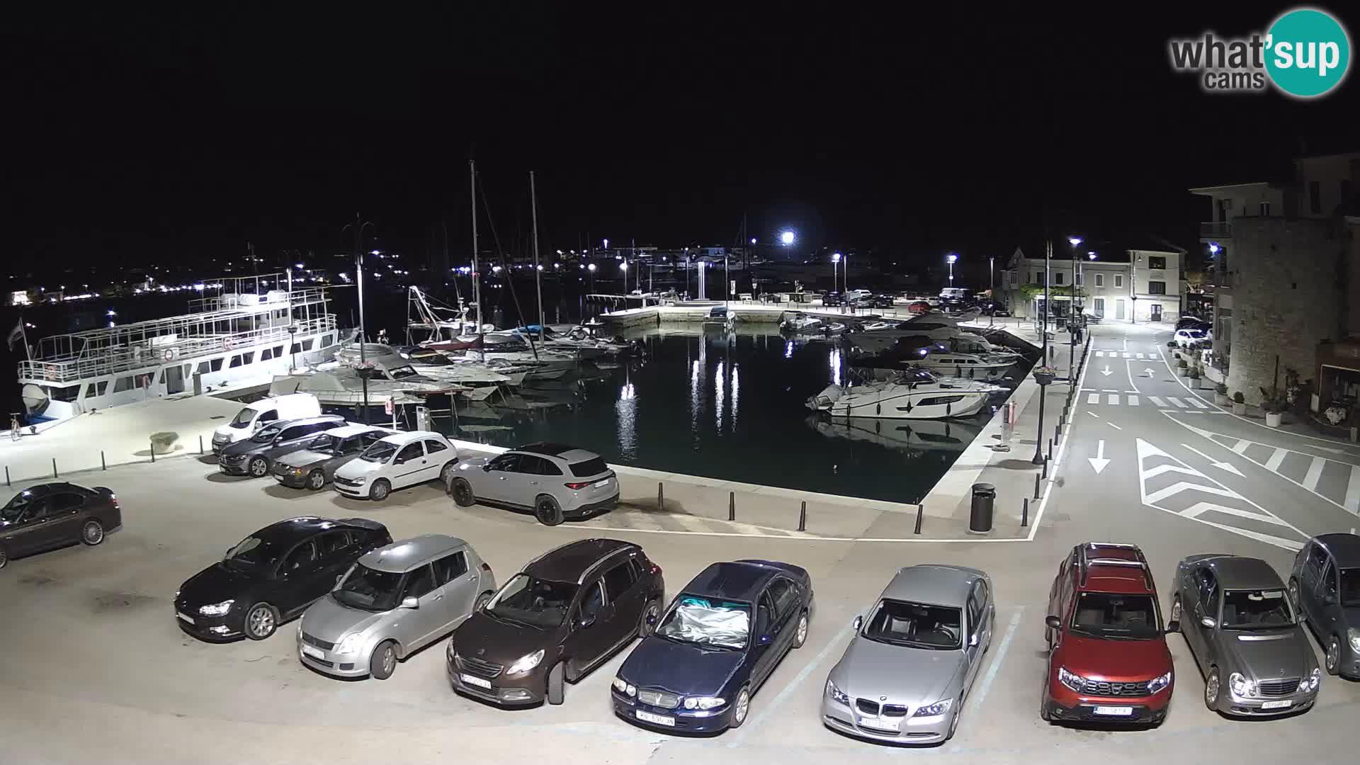 Novigrad | Porporela marina