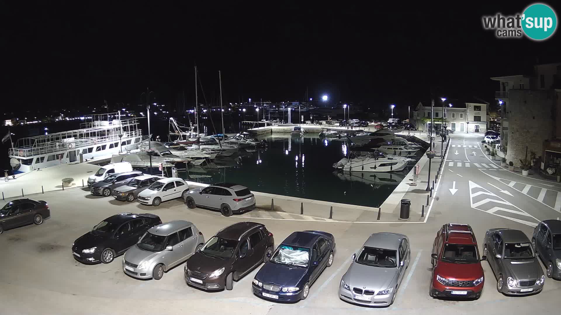 Novigrad | Porporela marina