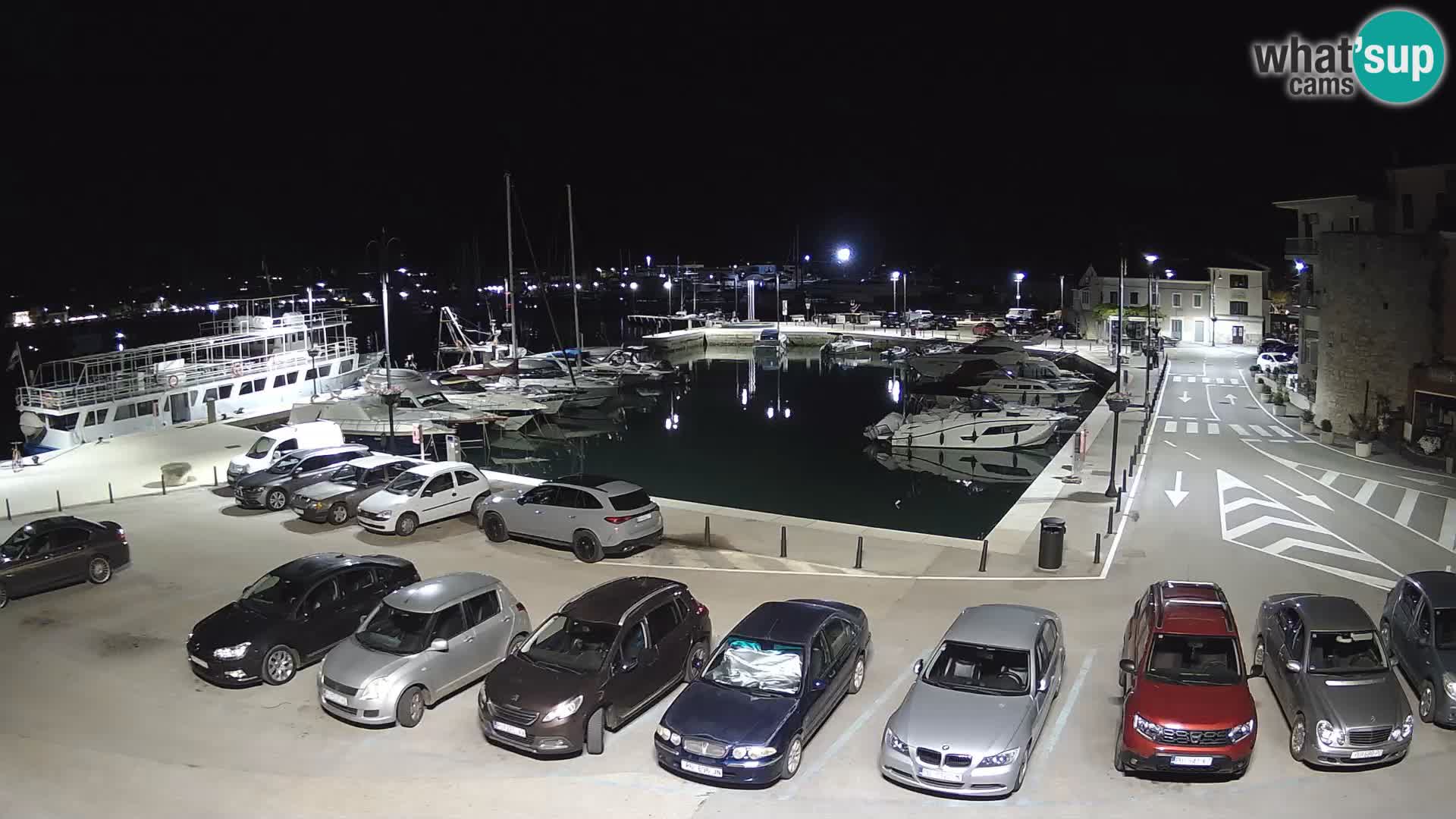 Novigrad | Porporela marina