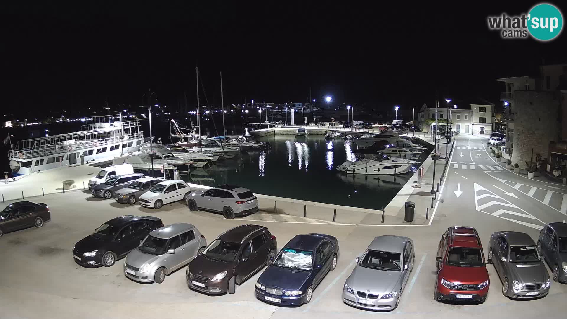 Novigrad | Porporela marina