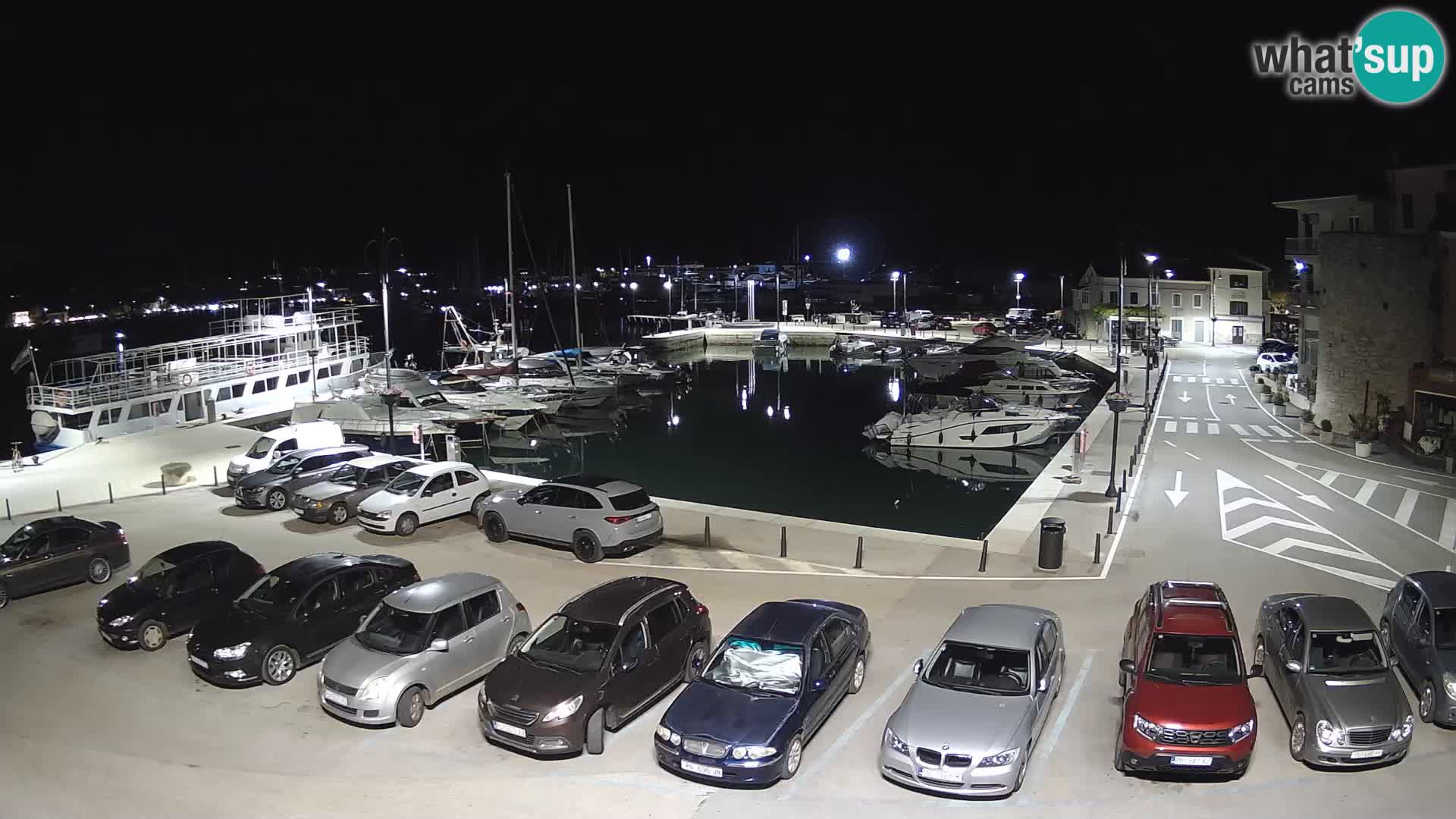 Novigrad | Porporela marina