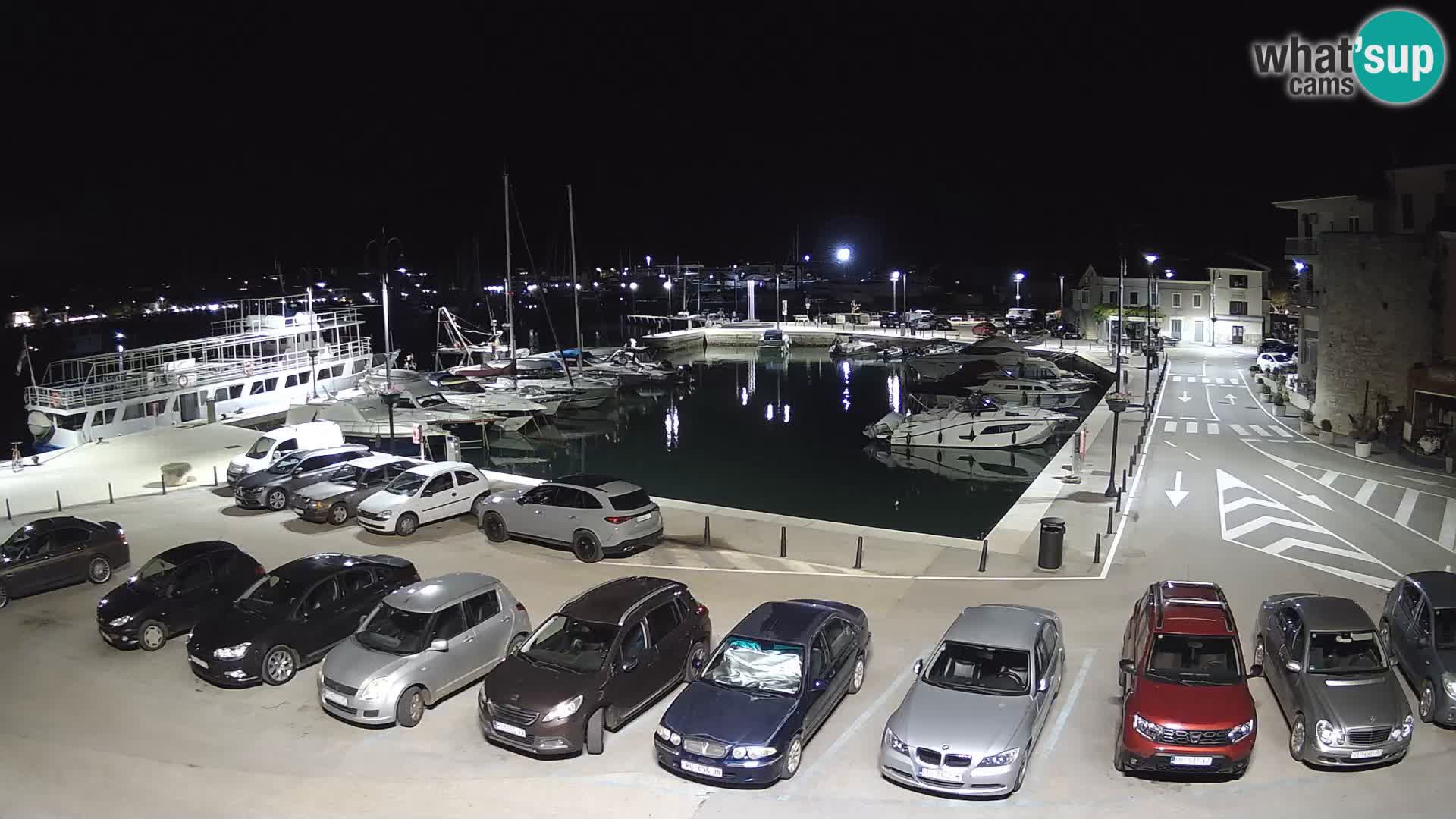Novigrad | Porporela marina