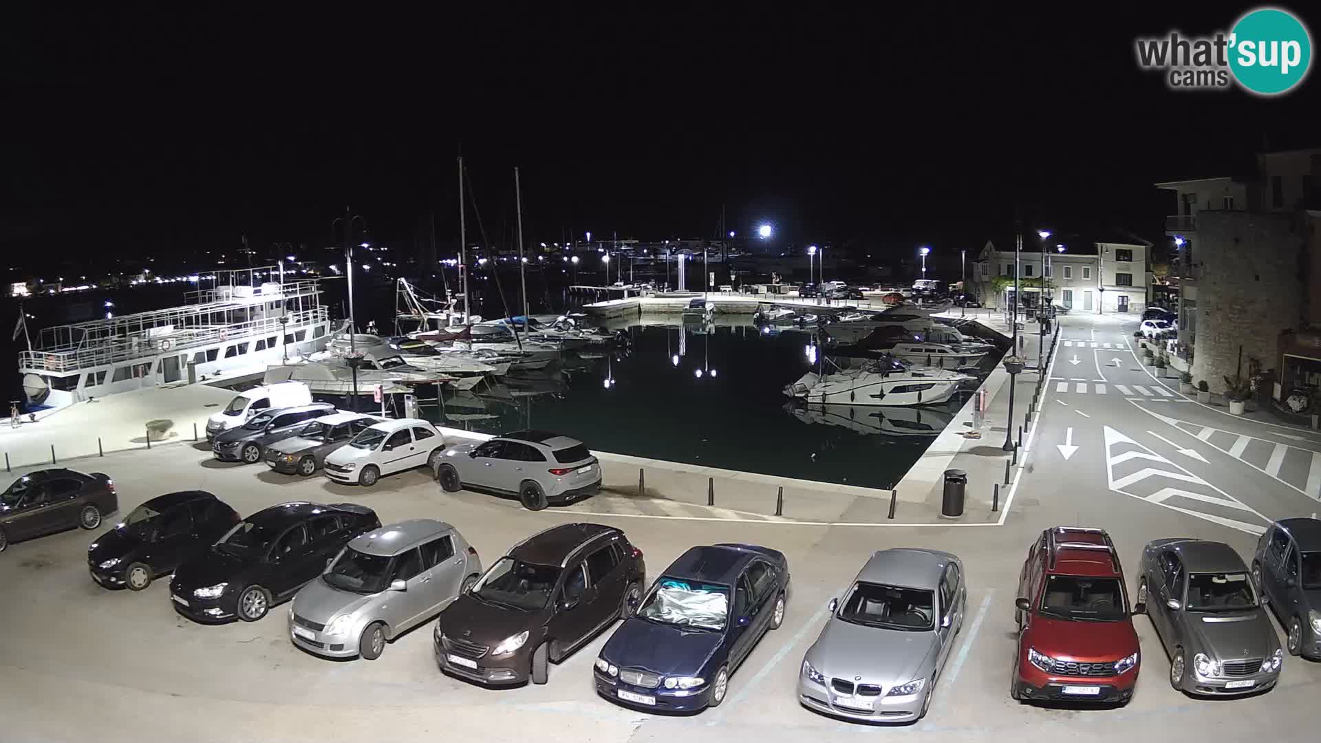 Novigrad | Porporela marina