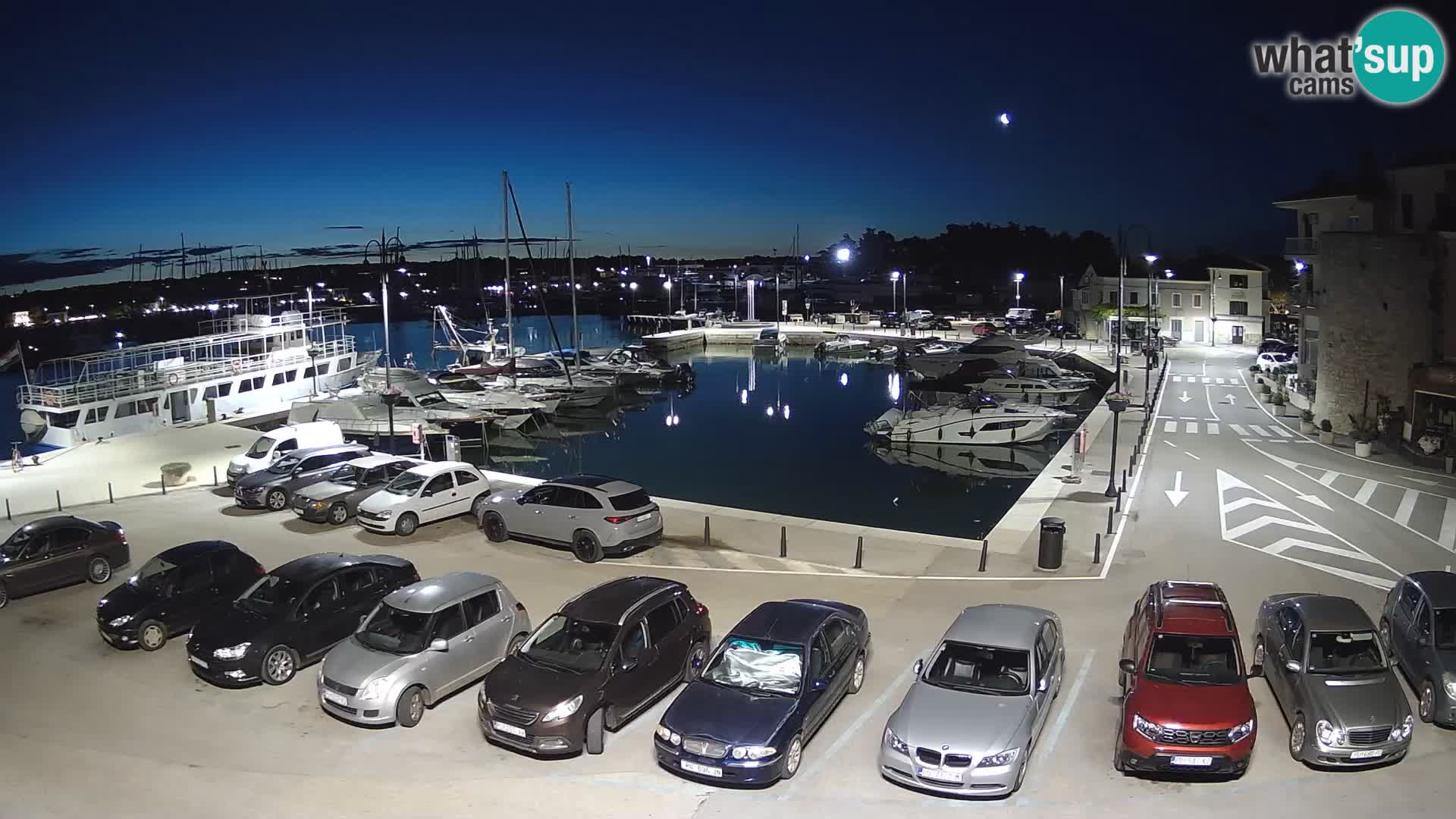 Novigrad | Porporela marina