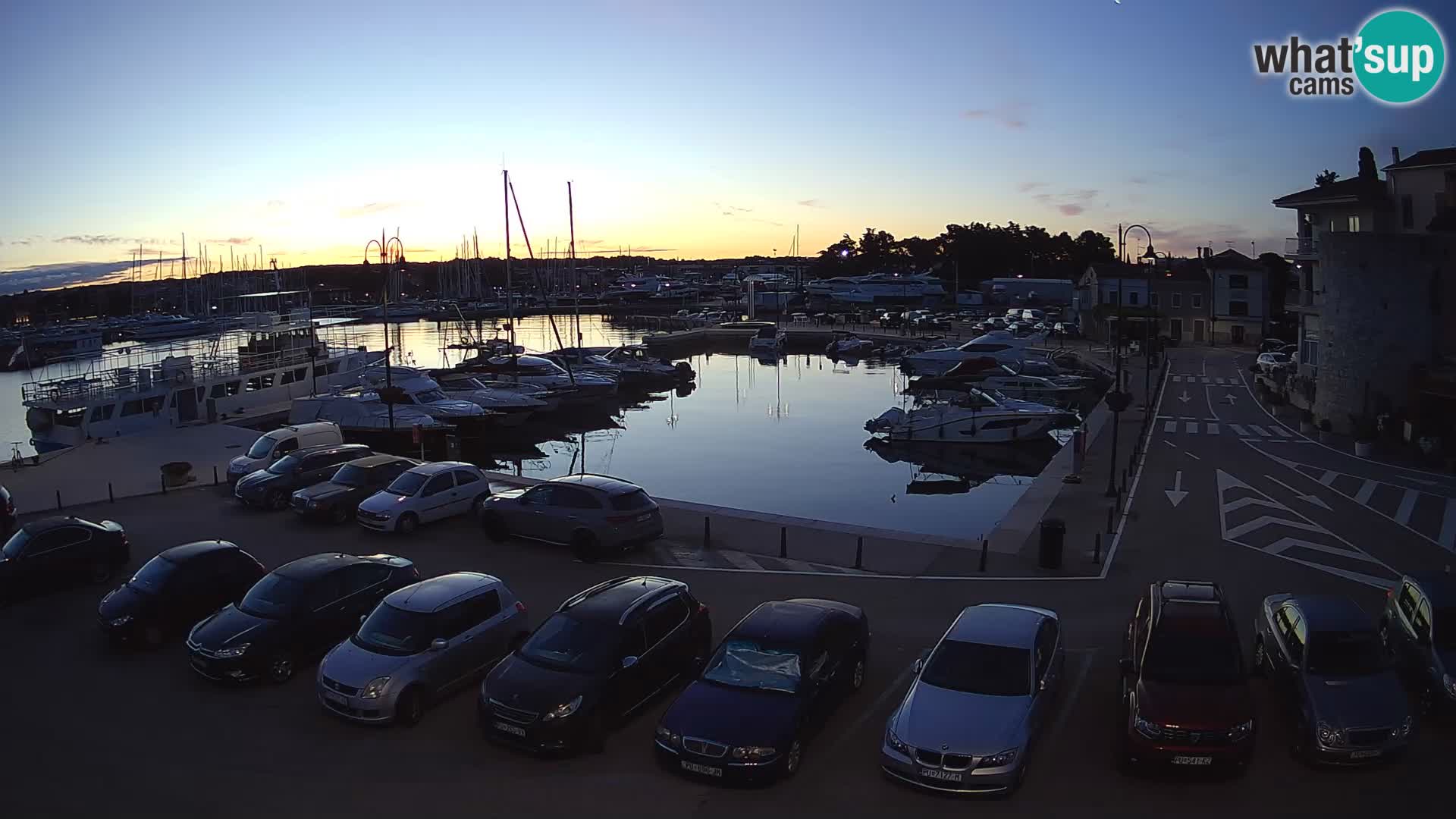Novigrad | Porporela marina