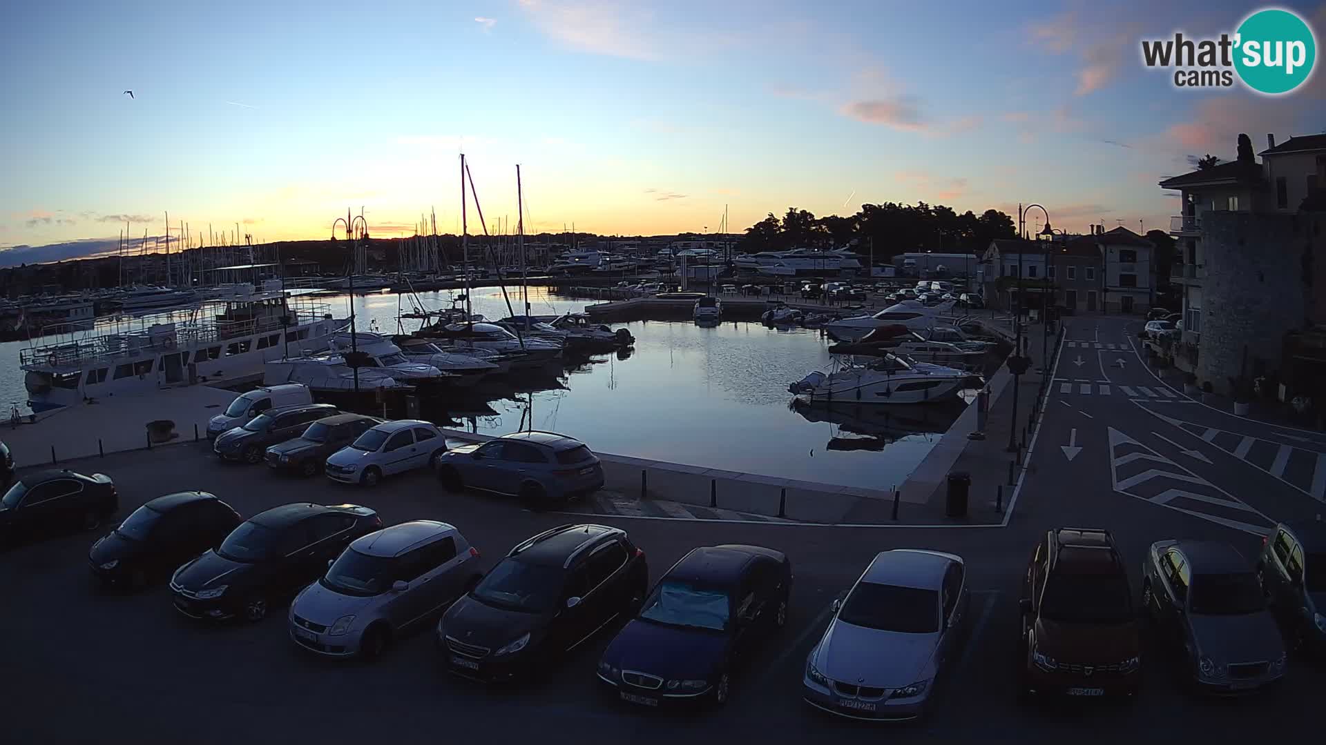 Novigrad | Porporela marina