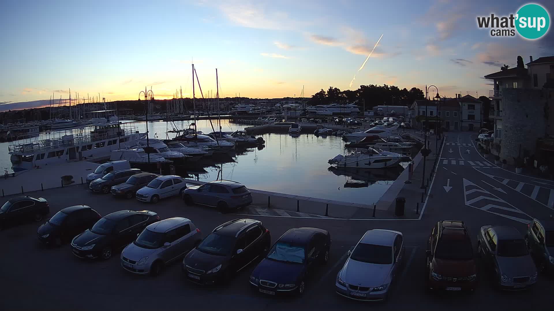 Novigrad | Porporela marina