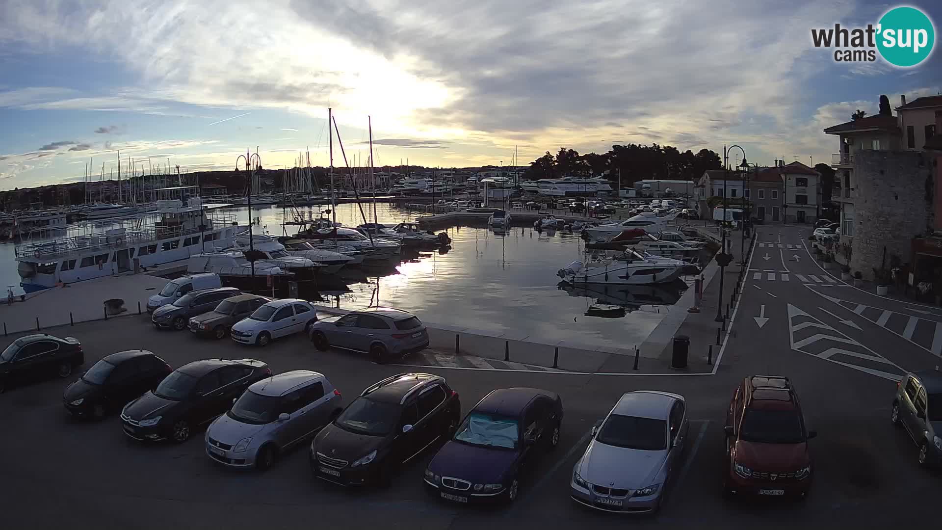 Novigrad | Porporela marina