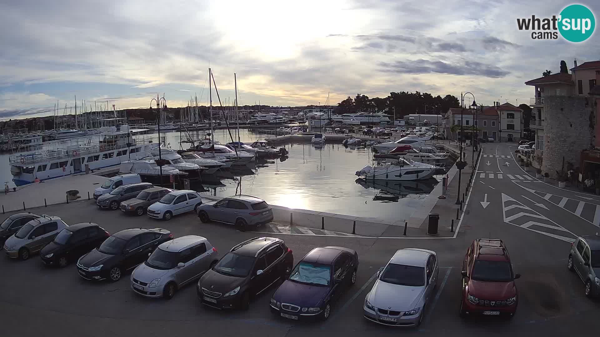 Novigrad | Porporela marina