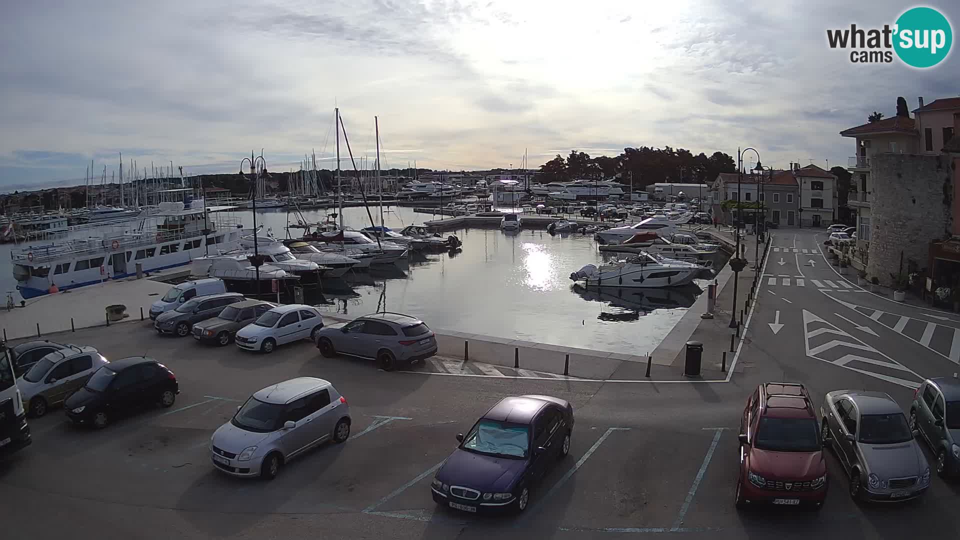 Novigrad | Porporela marina