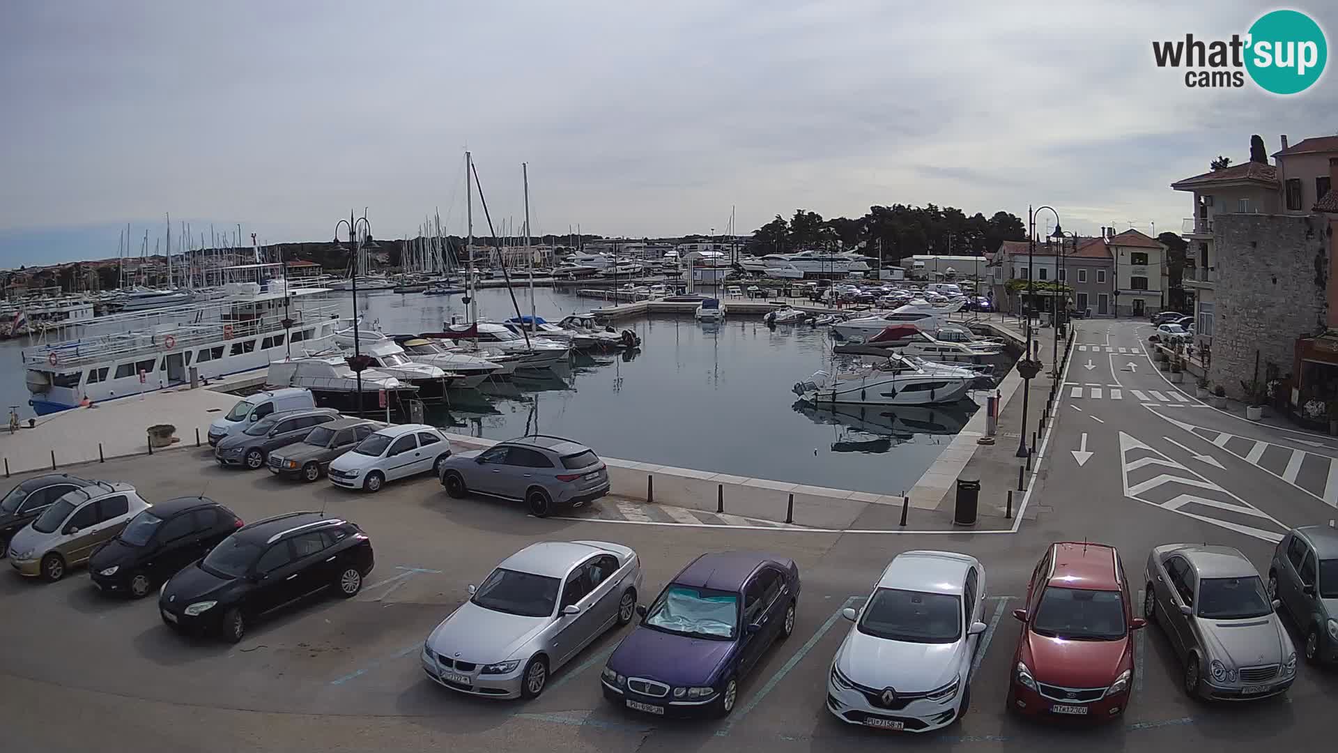 Novigrad | Porporela marina