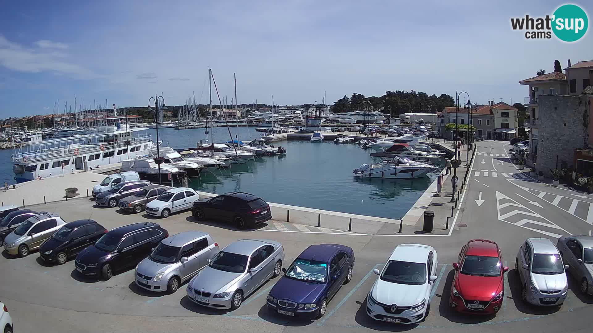 Novigrad | Porporela marina