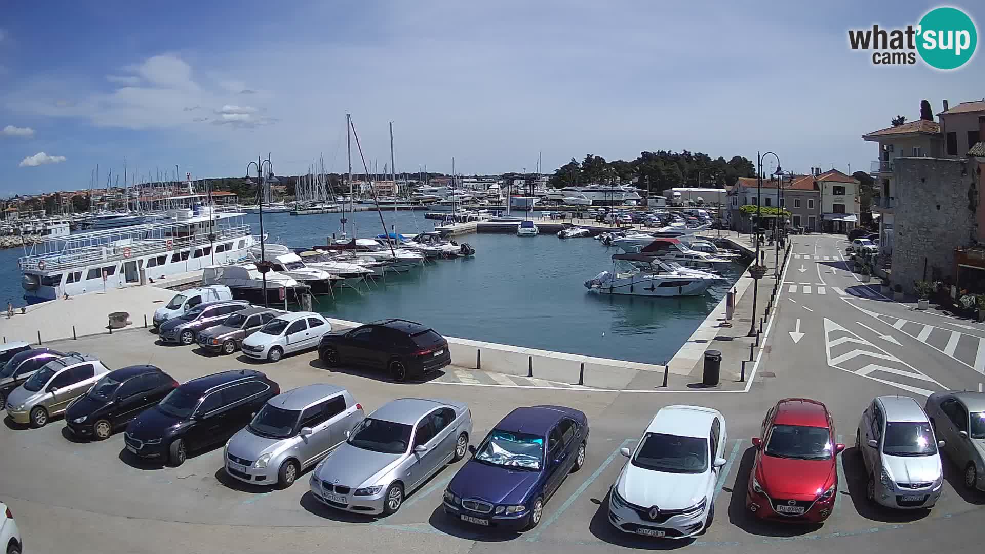 Novigrad | Porporela marina
