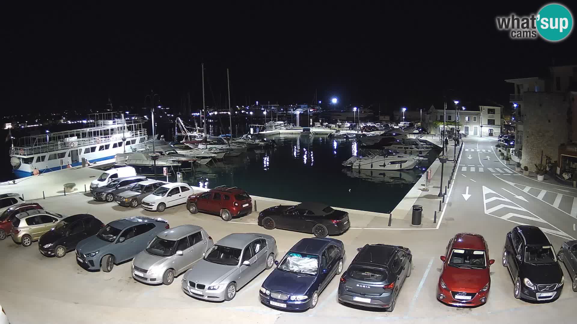 Novigrad | Porporela marina