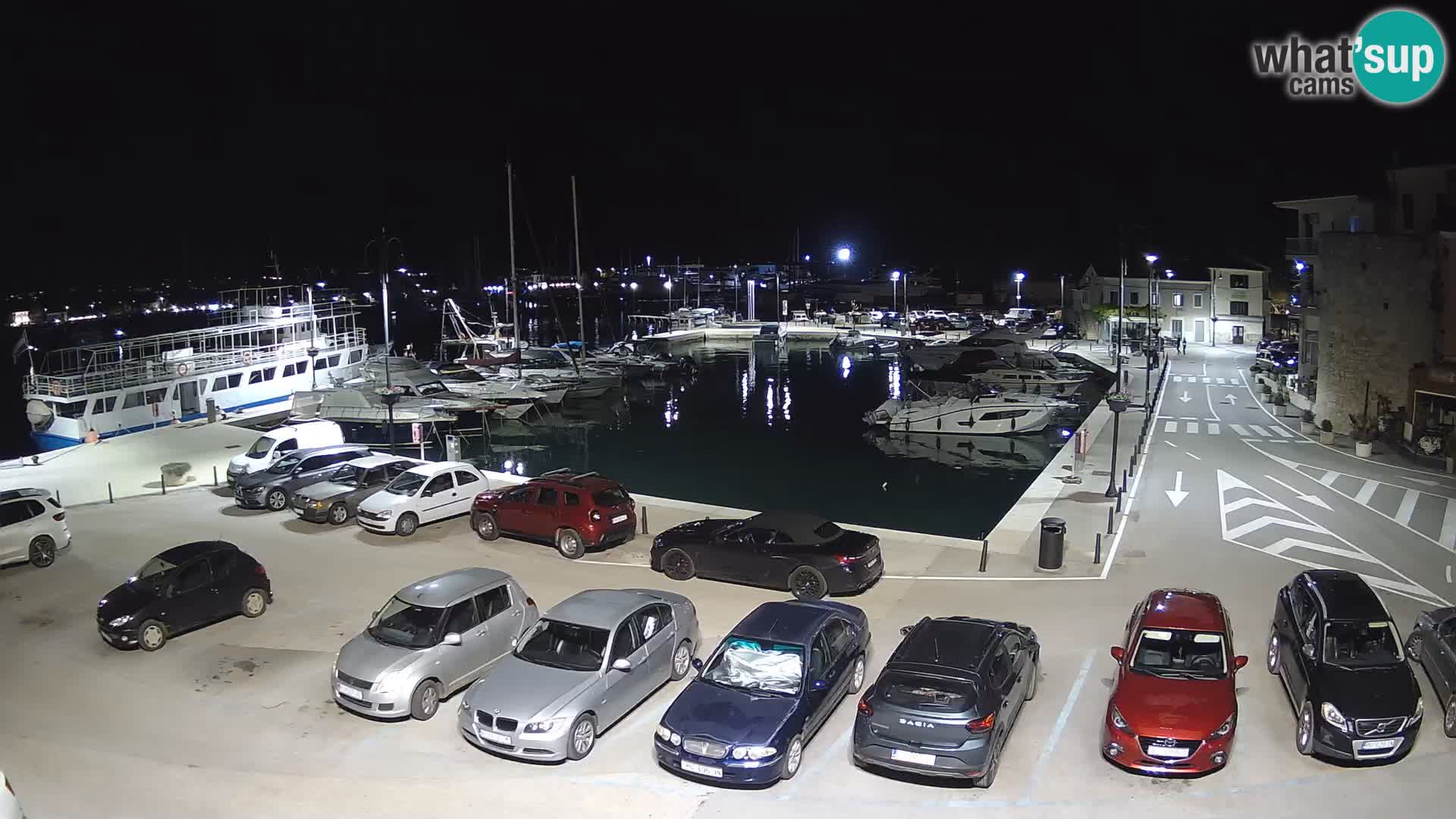Novigrad | Porporela marina