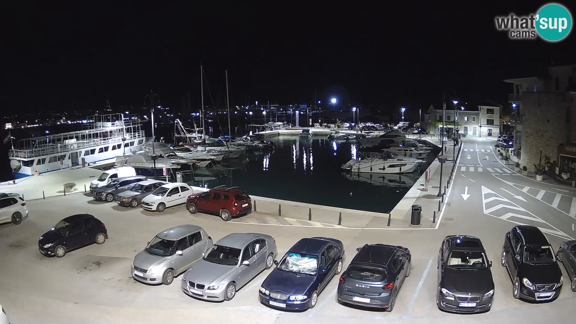 Novigrad | Porporela marina