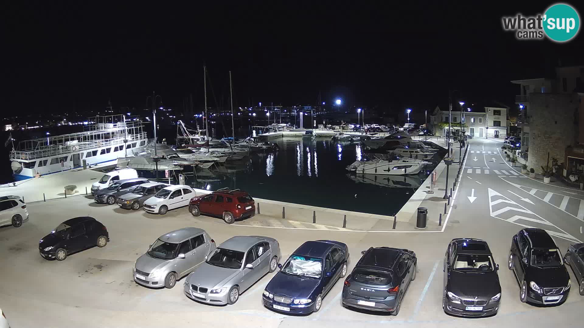 Novigrad | Porporela marina