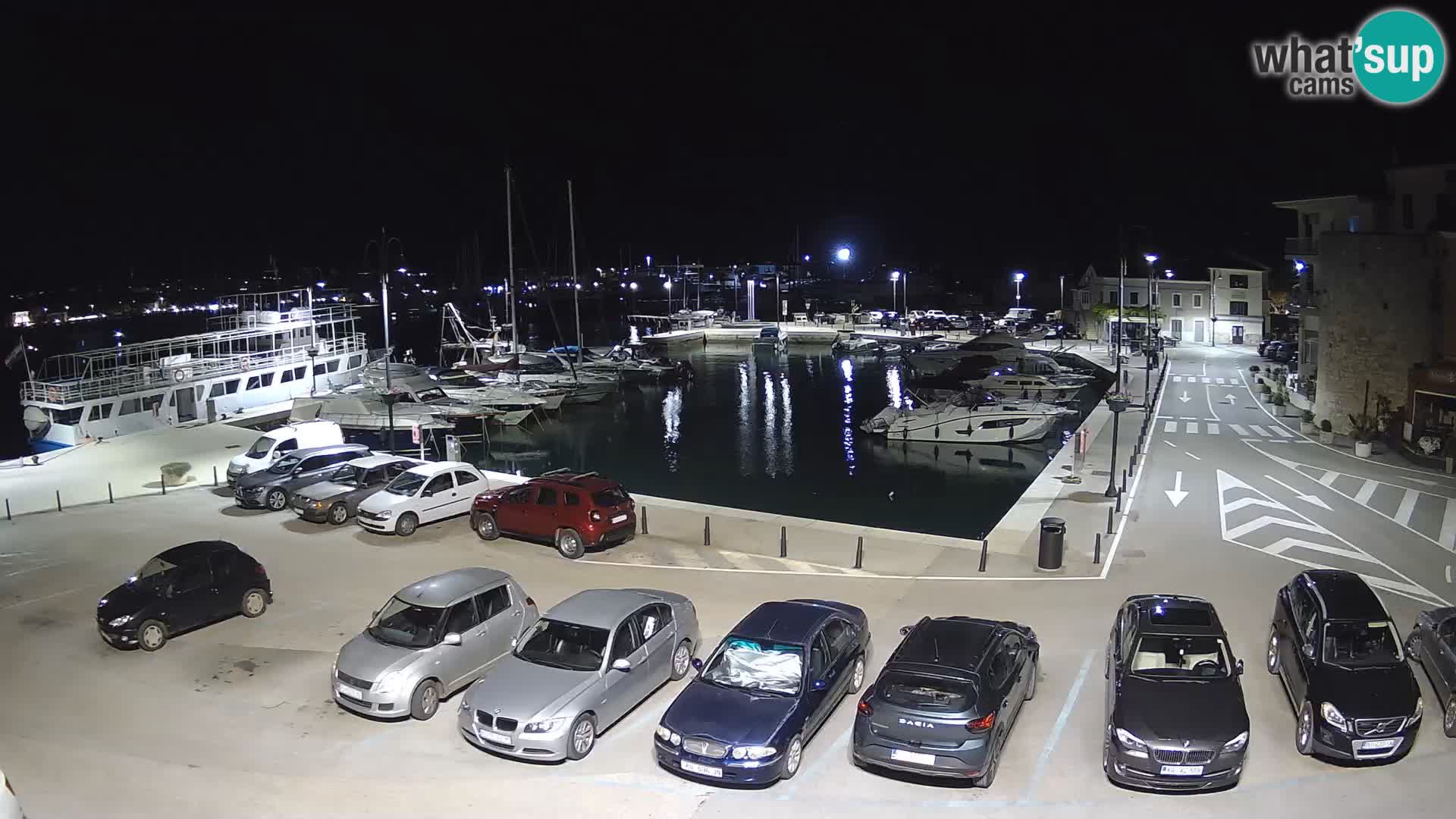 Novigrad | Porporela marina