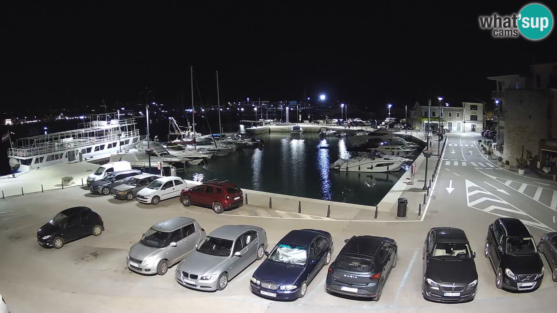 Novigrad | Porporela marina