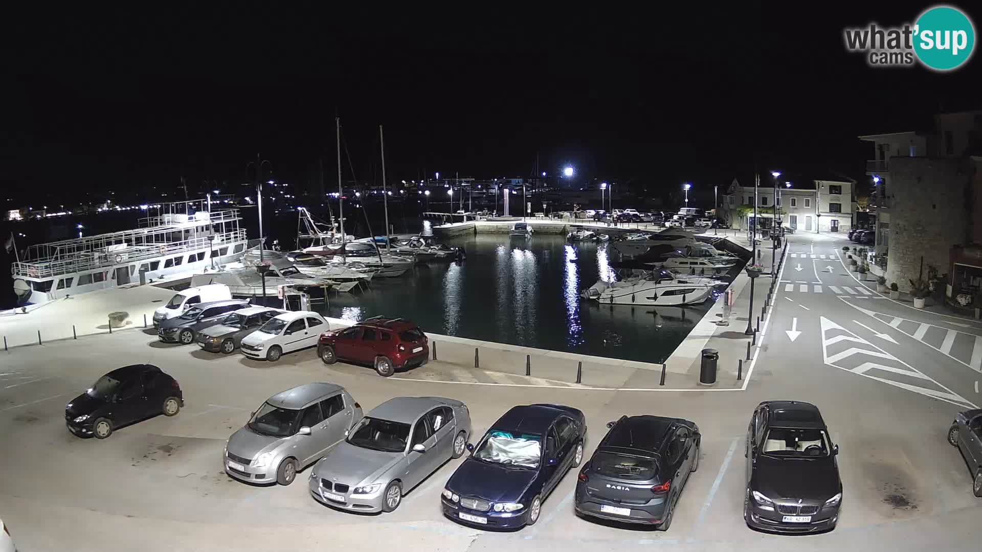 Novigrad | Porporela marina