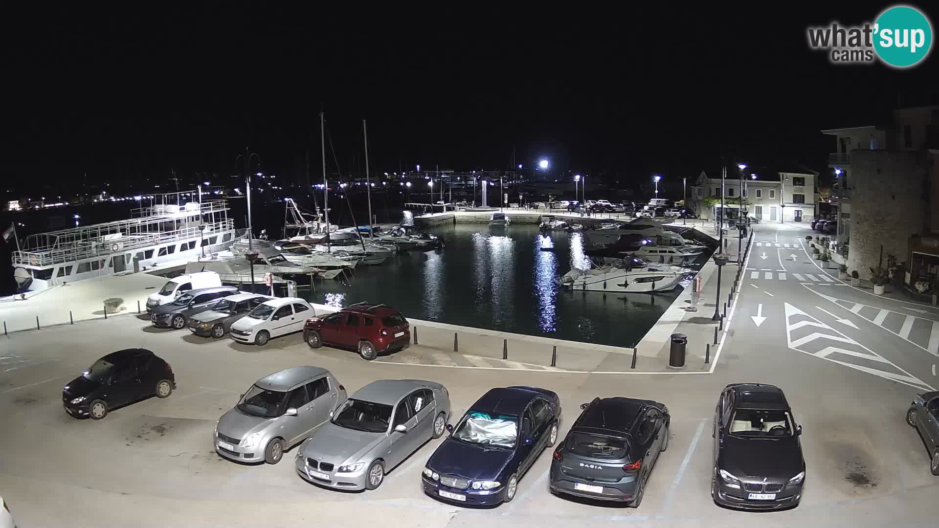 Novigrad | Porporela marina