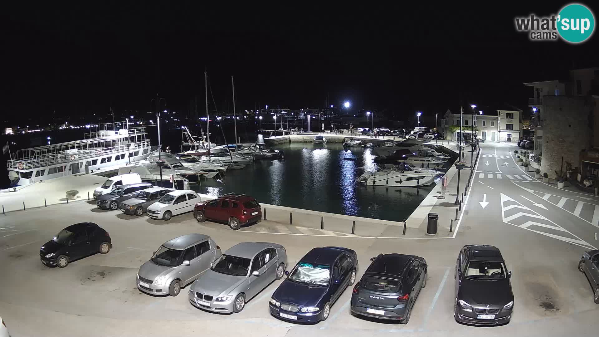 Novigrad | Porporela marina