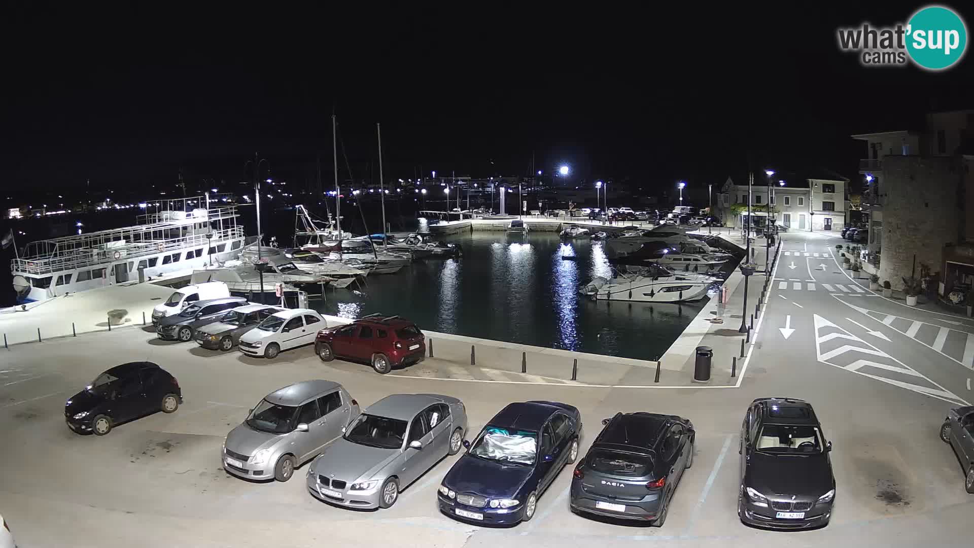 Novigrad | Porporela marina