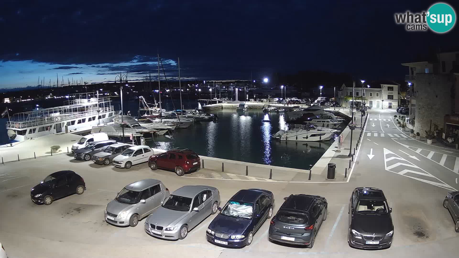 Novigrad | Porporela marina