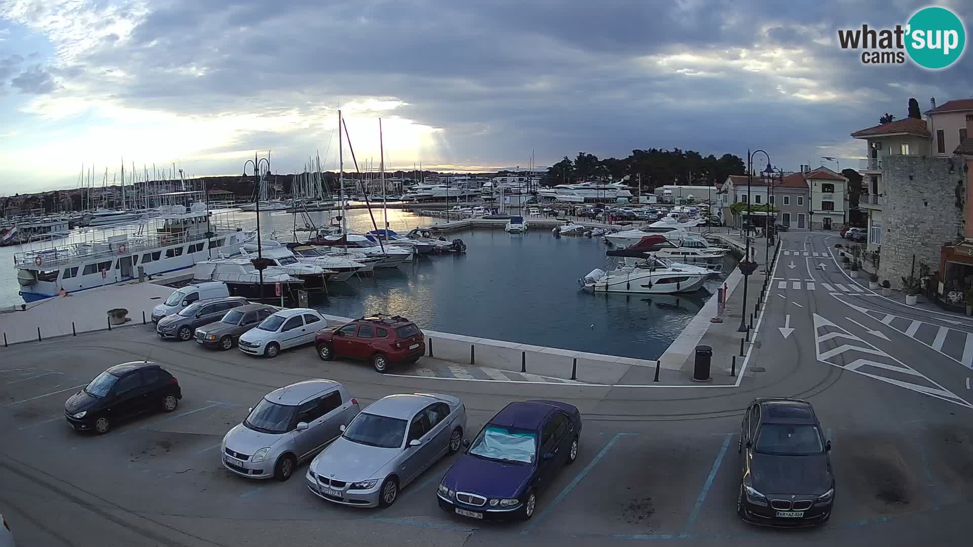 Novigrad | Porporela marina