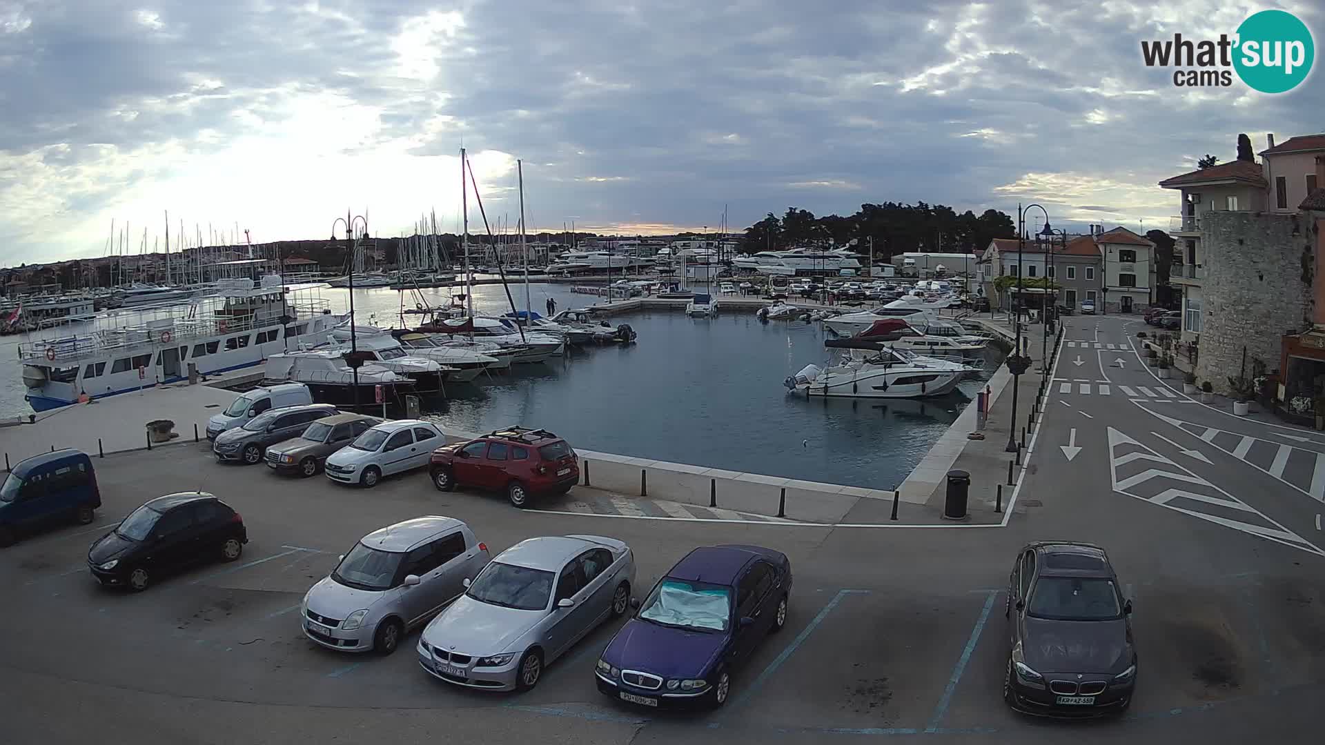 Novigrad | Porporela marina