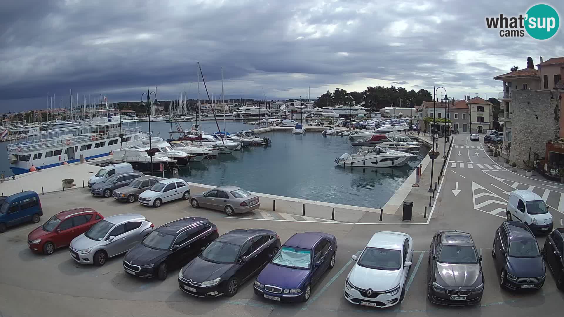 Novigrad | Porporela marina