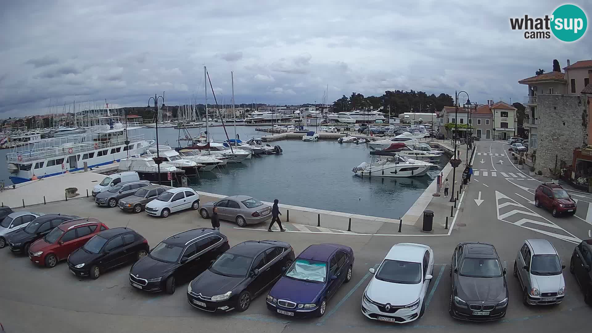Novigrad | Porporela marina