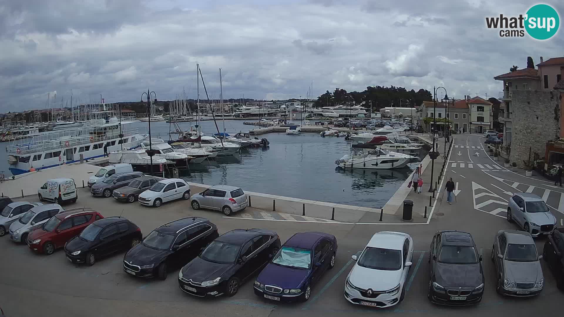 Novigrad | Porporela marina