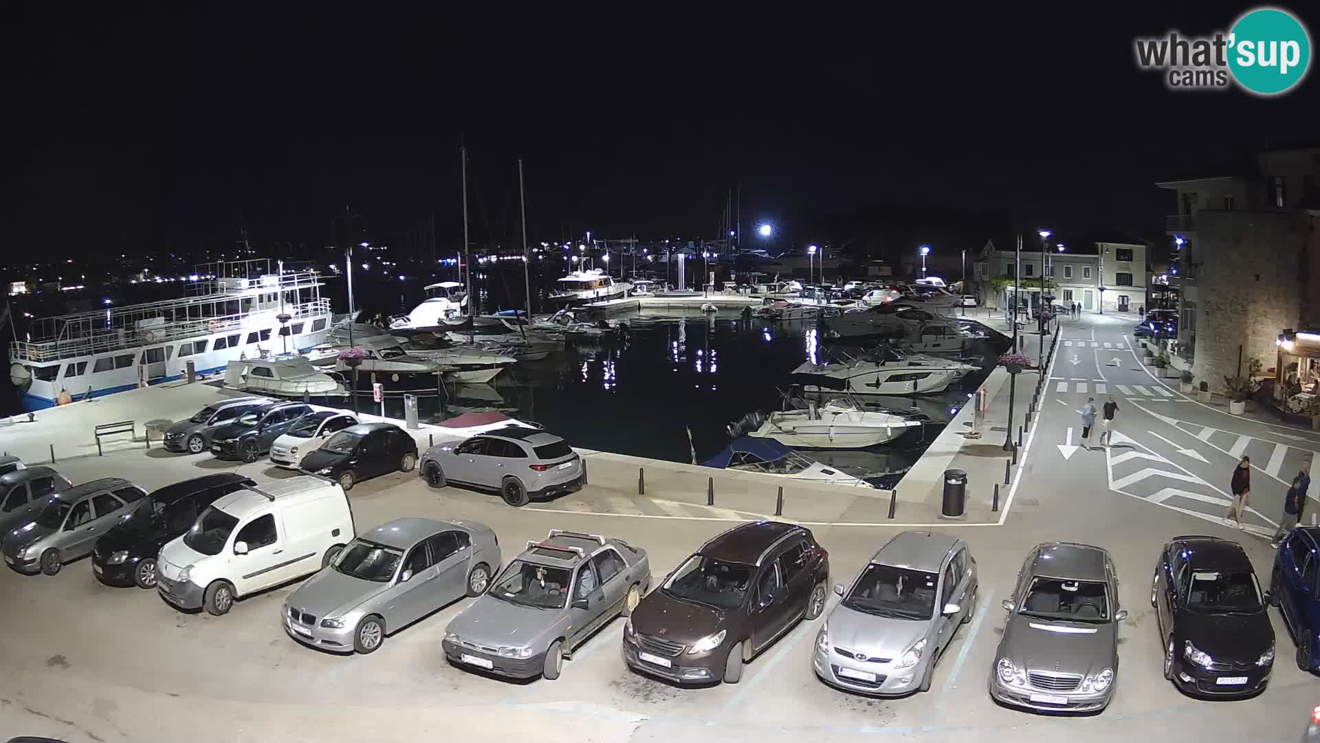 Novigrad | Porporela marina