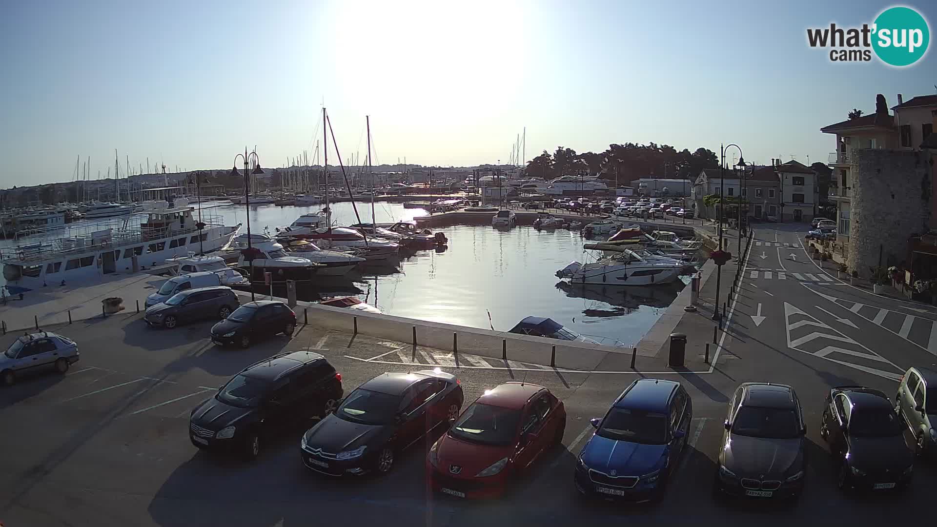 Novigrad | Porporela marina